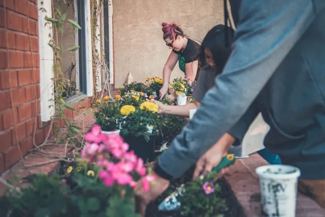 Women planting flowers