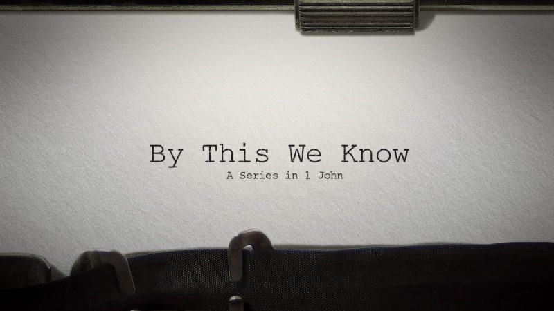 The Light of Love Image