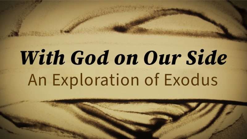 Yahweh vs. the gods of Egypt Image
